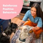 Pupford Freeze Dried Training Treats for Dogs & Puppies, 475+ Three Ingredient Bites (Beef Liver, 4 oz) - Image 4