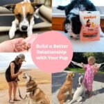 Pupford Freeze Dried Training Treats for Dogs & Puppies, 475+ Three Ingredient Bites (Beef Liver, 4 oz) - Image 7