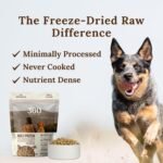 360 Pet Nutrition Freeze-Dried Raw Dog Food – Multi-Protein with Beef, Chicken, Fish, Liver & Organs, High Protein, Omega-3s, Fruits, Veggies & Superfoods, Grain-Free, No Fillers, 1 lb – Made in USA - Image 4