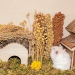 Sprays Set = Wheat + Flax + Yellow Millet + Panicle Millet + Corn Cob + Sorghum Stems, Pet Habitat Bedding Decor, Natural Hamster Chews Accessories, for Gerbil, Mice, Guinea Pig, Chinchilla, 5 set - Image 7