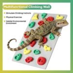 Climbing Wall for Reptiles, Reptile Tank Terrarium Accessories Habitat Decor for Bearded Dragons, Leopard Geckos, Lizards, Snakes, Tree Frogs, Amphibian Paludariums Enclosure Supplies - Image 4