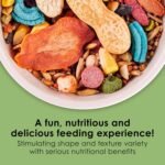 Kaytee Fiesta Mouse & Rat Food, Nutritious and Fun Blend, Supports Dental Health and Digestion, 2 pounds - Image 3