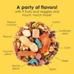 Kaytee Fiesta Mouse & Rat Food, Nutritious and Fun Blend, Supports Dental Health and Digestion, 2 pounds - Image 5