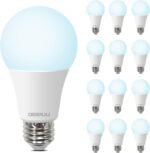 A19 LED Light Bulbs Daylight 5000K, 100 Watt Equivalent LED Bulbs, 1500 LM, 15000 Hours, E26 Base, Non-Dimmable, 13W Bright White LED Bulbs for Bedroom Living Room Home Office, 12 Pack - Image 2