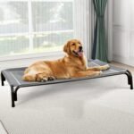 Elevated Dog Bed, Raised Outdoor Dog Bed for Large Sized Dogs, Portable Cooling Pet Cot with Breathable & Washable Mesh, Indoor & Outdoor Pet Hammock with Skid-Resistant Feet. - Image 2
