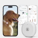 Molly&Cody GPS + Bluetooth Pet Tracker for Cats & Dogs – Real‑Time Tracking, Virtual Fence, IP67 Waterproof, Up to 60‑Day Battery, Health Monitoring, iOS/Android – Subscription Required (White) - Image 2