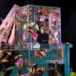 Negative Pressure Fish Tank - Clear Fish Elevator Water Auto-Refill Vacuum Suspended Fish Tank Water Level Maintenance, Increase Fish Activity Area, Aquarium Decoration - Image 2