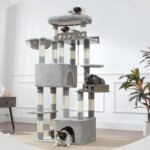 Maine Coon Cat Tree, Heavy Duty Cat Tree for Indoor Cats Large Adult, Cat Tower for Large Cats 20 lbs+ with Hammock, 2 Big Perches, 2 Cat Condos, 15 Scratching Posts, Light Gray GCT033W - Image 10