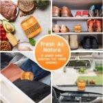 Purriko Refrigerator Deodorizer,Lasts up to 10 Years,Refrigerator Odor Eliminator,Fridge Deodorizer,More Effective Than Baking Soda Bamboo Air Purifying Bags,Orange - Image 8