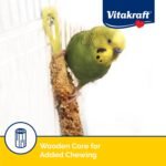 Vitakraft Crunch Sticks Parakeet Treat - Triple-Baked Millet Parakeet Treats with Natural Wood Center - Crunchy & Nutritious Bird Treat Sticks for Small Animals (12 Count, Honey, Egg, and Apple) - Image 6