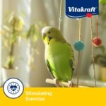 Vitakraft Crunch Sticks Parakeet Treat - Triple-Baked Millet Parakeet Treats with Natural Wood Center - Crunchy & Nutritious Bird Treat Sticks for Small Animals (12 Count, Honey, Egg, and Apple) - Image 7