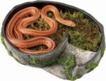 Zilla Pet Terrarium Rock Lair, Reptile Hide for Lizards, Snakes and More, Large - Image 4