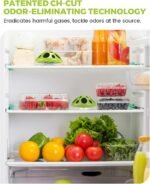 Purriko Fridge Deodorizer,Last up to 10 Years,Refrigerator Odor Eliminator,Fridge Smell Eliminator,More Effective than Baking Soda and Bamboo Charcoal Air Purifying Bags,Green - Image 3