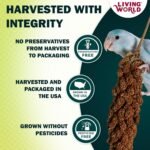 Living World - Millet Spray for Birds, 3.5 Oz – Premium Treat for Budgies, Canaries, Finches, Cockatiels and Other Pet Birds - Image 4