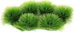 Penn-Plax Fish Breeding Grass – Baby Hideout for Fry – Great for Livebearers and Egg Layers – Plastic Aquarium Plants – 2 Pieces - Image 3