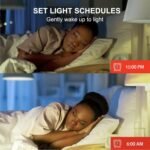 Sengled Smart Bulb, Color Changing Smart Bulbs Compatible with Google Assistant, WiFi Light Bulbs No Hub Required A19 RGB Multicolor LED Light Bulb 60W Equivalent 800LM, 2 Pack - Image 10