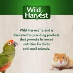 Wild Harvest Bake Shop Danishes 2 Ounces, Artificial Cherry Flavored, Treats for Guinea Pigs, Hamsters, Gerbils, Adult Rabbits and More - Image 8