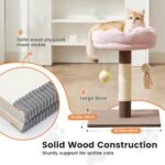 Gardner Pet 20" Cat Tree Corduroy, Solid Wood Small Cat Tree, Compact Cat Tower Perch for Kittens & Indoor Cats(Brown, Circle-Corduroy) - Image 3
