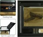 Reptile Glass Terrarium Tank 12"*8"*6",Small Cage Full View with Top Screen Ventilation Habitat Enclosure for Tarantula,Frog,Gecko,Insects,Spiders,Snakes,Hermit Crab,Turtle,Ball Python - Image 5