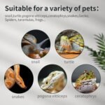 Reptile Glass Terrarium Tank 12"*8"*6",Small Cage Full View with Top Screen Ventilation Habitat Enclosure for Tarantula,Frog,Gecko,Insects,Spiders,Snakes,Hermit Crab,Turtle,Ball Python - Image 7