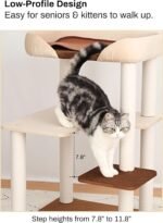Cat Tree for Large Cats, Modern Senior Friendly Cat Tower with Wide Shelves, Cotton Scratching Posts, Super Sturdy Base, Cozy Perches, and Interactive Toys for Indoor Kittens, 37.4'' Cream. - Image 5
