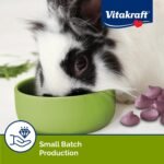 Vitakraft Drops Rabbit Treats with Wildberry Flavor – 5.3 oz Delicious Yogurt-Based Snacks for Rabbits, Guinea pigs, Hamsters, Gerbils, Mice, Rats, Chinchillas, and other Small Animals. - Image 6