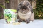 Exotic Nutrition Green Pea Flakes 3oz. - Healthy & Unique Treat - Rat, Degu, Prairie Dog, Chinchilla, Hedgehog, Parrot, Guinea Pig, Rabbit, Hamster - Image 5