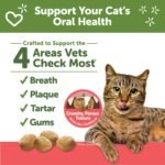 WHIMZEES Wellness Cat Dental Treats, Chicken and Salmon Flavor, (2 Ounce Bag) - Image 3