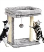 SYANDLVY Cat Tree with Scratching Post for Indoor Cats, Scratching Board with Perch, Cat Post Scratcher with 2 Dangling Balls, Great for Kittens, Grey - Image 2