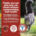 Dave's Pet Food Renal Cat Treats for Cat Kidney Support, (NEW Recipe!) Semi-Moist Healthy Treats with Kidney Support for Cats, Made in USA (2 Pack) - Image 4