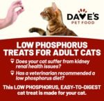 Dave's Pet Food Renal Cat Treats for Cat Kidney Support, (NEW Recipe!) Semi-Moist Healthy Treats with Kidney Support for Cats, Made in USA (2 Pack) - Image 5