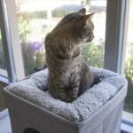 Kitty City Large Stackable Cat Condo & Cube House, Modular Indoor Cat Furniture with Plush Washable Beds, Collapsible Cat Cave & Lounging Ottoman, Grey - Image 8