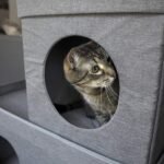 Kitty City Large Stackable Cat Condo & Cube House, Modular Indoor Cat Furniture with Plush Washable Beds, Collapsible Cat Cave & Lounging Ottoman, Grey - Image 9