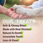 A Freschi srl Soft Chicken Dog Treats, All Natural, High-Protein, Healthy & Easily Digestible, Grain-Free Puppy Chews, Human Grade Training & Rewards Dog Snacks, Chicken Sticks, 16 oz Pack - Image 4