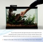 Aqueon Stick'ems Freeze-Dried Color Boosting Pet Fish Treat , 0.42 oz - Image 6