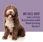 Whole Life Dog Just One Chicken Freeze Dried Dog Treats - Human Grade High Protein Food, Healthy Training Snacks, Freeze Dried Food Toppers, USA Made Natural Treats - 4 oz (Value Pack of 1) - Image 5