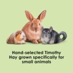 Kaytee Wafer Cut All Natural Timothy Hay for Pet Guinea Pigs, Rabbits & Other Small Animals, 60 Ounce - Image 3