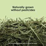 Kaytee Wafer Cut All Natural Timothy Hay for Pet Guinea Pigs, Rabbits & Other Small Animals, 60 Ounce - Image 4