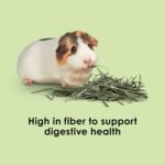 Kaytee Wafer Cut All Natural Timothy Hay for Pet Guinea Pigs, Rabbits & Other Small Animals, 60 Ounce - Image 5