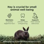 Kaytee Wafer Cut All Natural Timothy Hay for Pet Guinea Pigs, Rabbits & Other Small Animals, 60 Ounce - Image 7