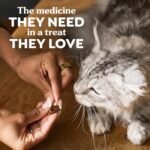 Greenies Feline Pill Pockets for Cats Natural Soft Cat Treats, Chicken Flavor, 1.6 oz. Pouch (45 Treats) - Image 7